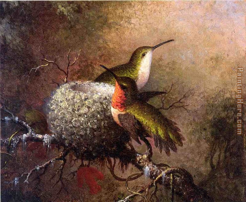 Martin Johnson Heade Two Ruby Throats by their Nest